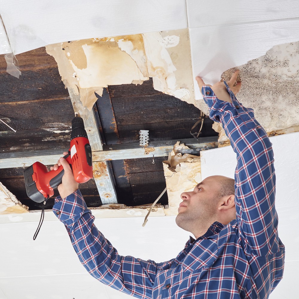 Property repair and cleanup work
